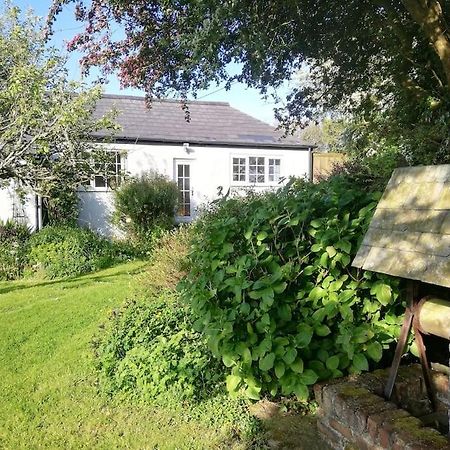 Cozy Country Cottage With Beautiful Rural Views Newquay  Bagian luar foto