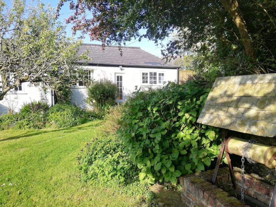Cozy Country Cottage With Beautiful Rural Views Newquay  Bagian luar foto
